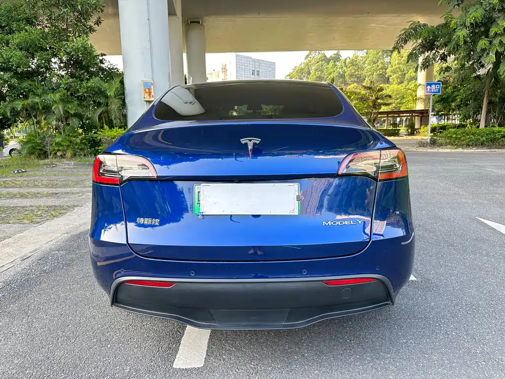Tesla Model Y — миниатюра 5