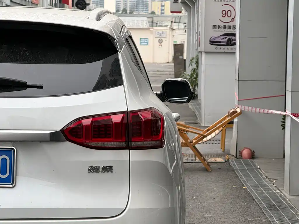 WEI PAI WEI BRAND VV6