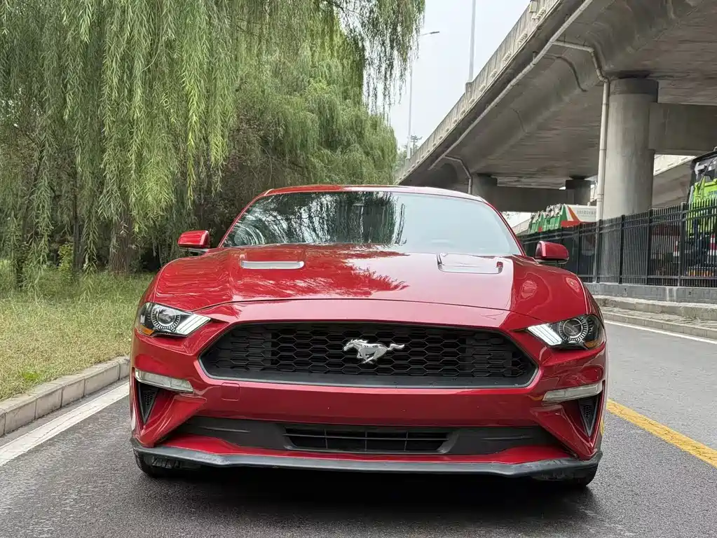 FORD MUSTANG