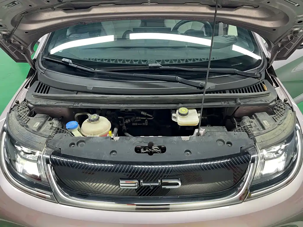 BYD Dolphin — миниатюра 26