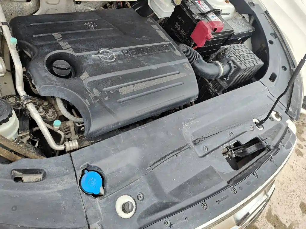 Haima Haima S5 — миниатюра 11