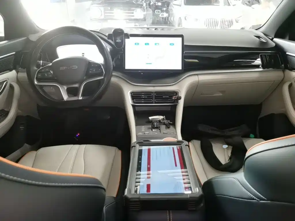 BYD PLUS New Energy — миниатюра 10