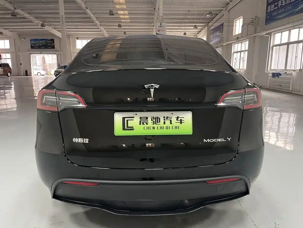 Tesla Model Y — миниатюра 5