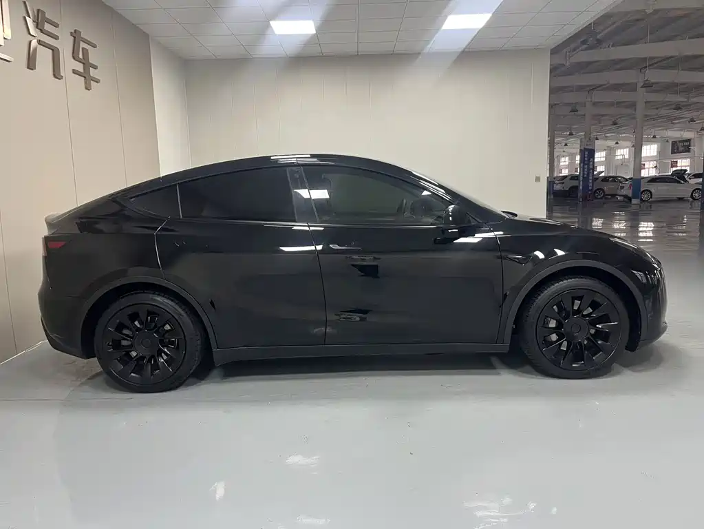 Tesla Model Y — миниатюра 13