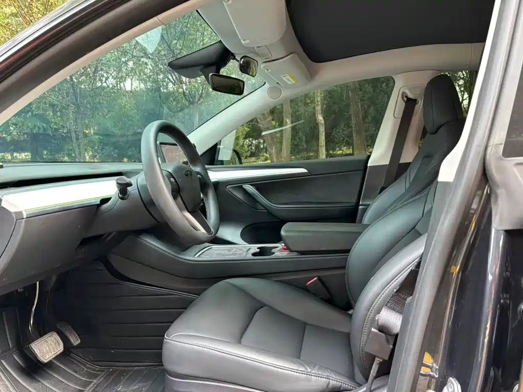 Tesla Model Y — миниатюра 6