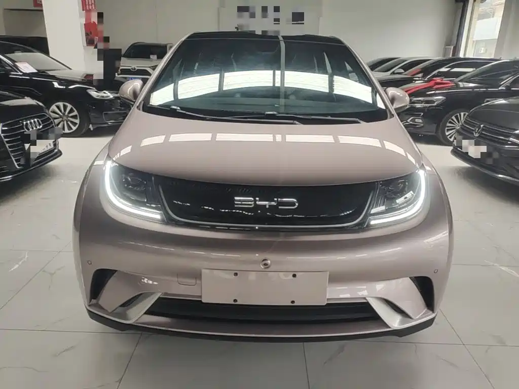 BYD Dolphin — миниатюра 3
