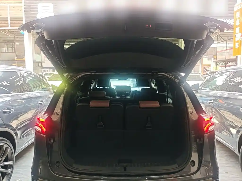 BYD Tang New Energy — миниатюра 19