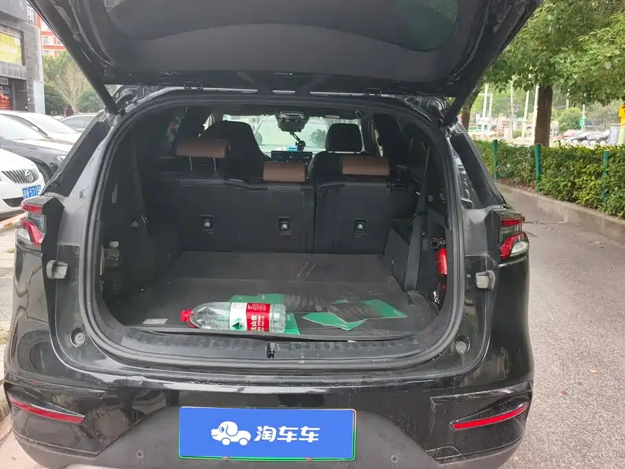 BYD Tang New Energy — миниатюра 4