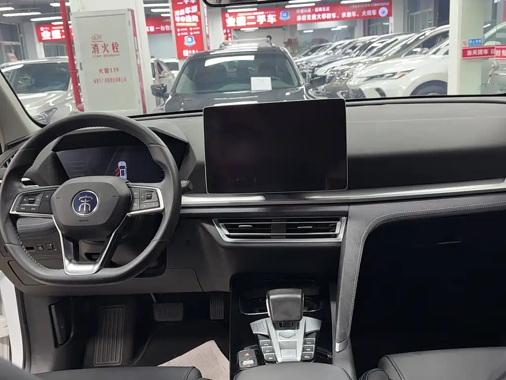 BYD Pro New Energy — миниатюра 4