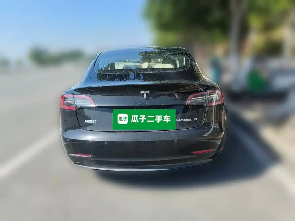 Tesla Model 3 — миниатюра 3