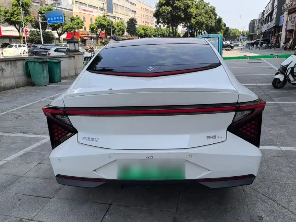 Lingxi Lingxi L — миниатюра 6