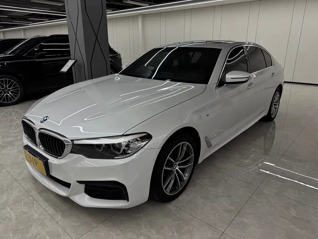 BMW 5 Series 2019