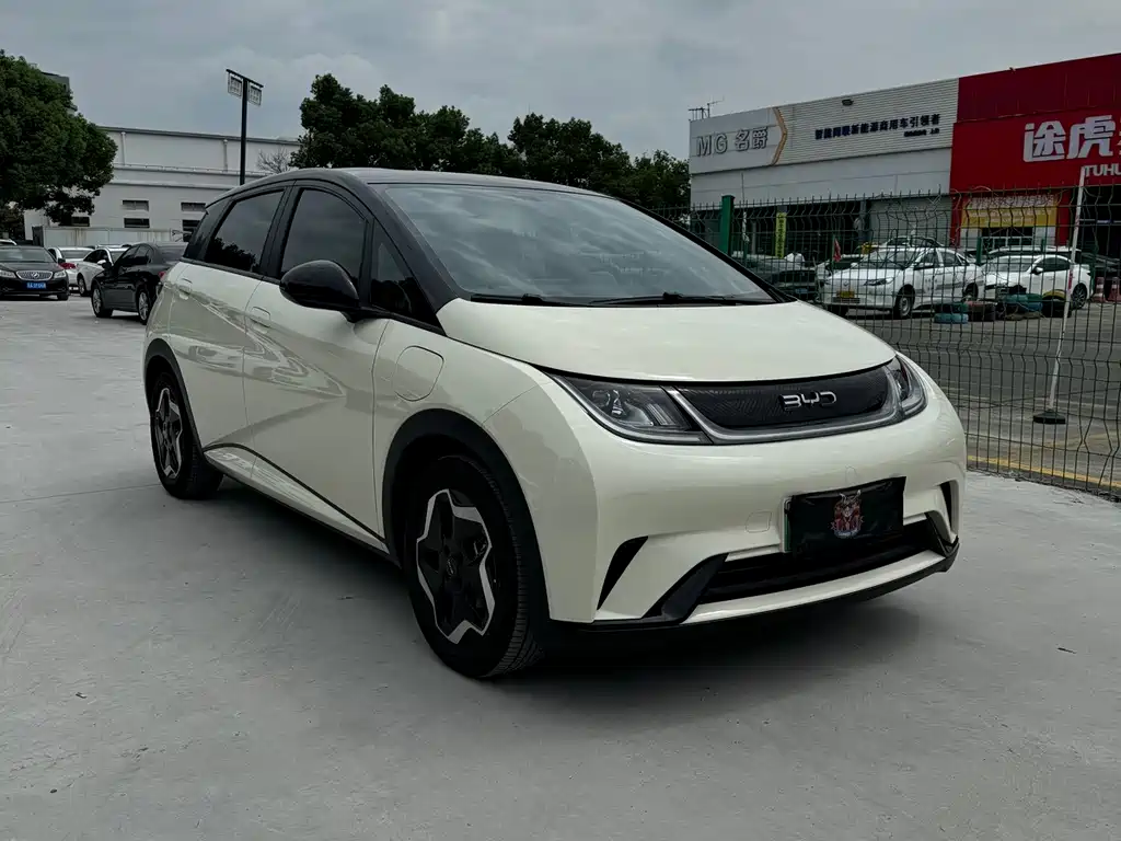 BYD Dolphin — миниатюра 3