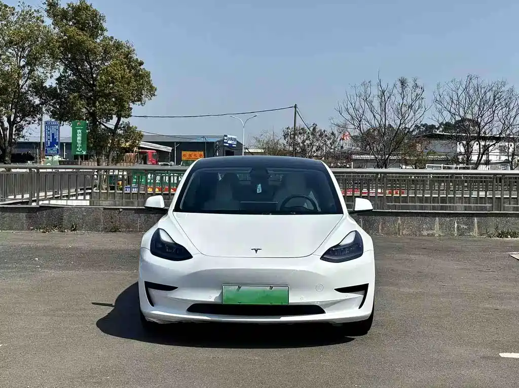 Tesla Model 3 2021