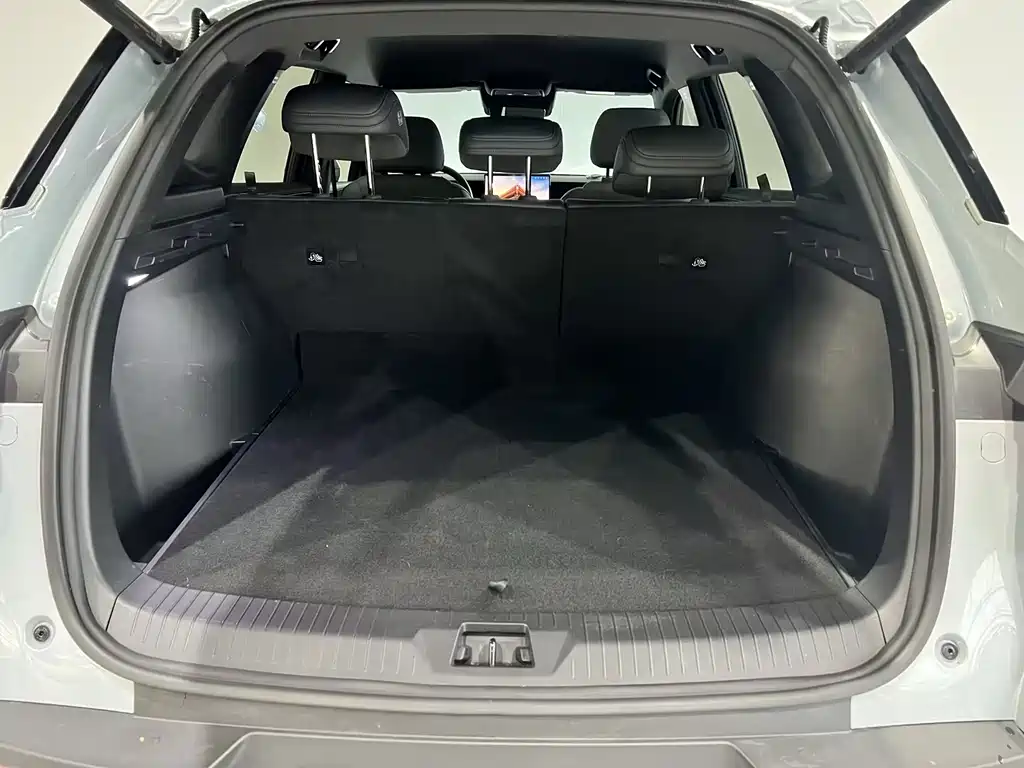 BYD Pro New Energy — миниатюра 14