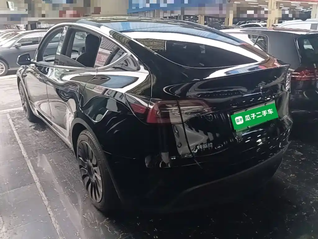 Tesla Model Y — миниатюра 5