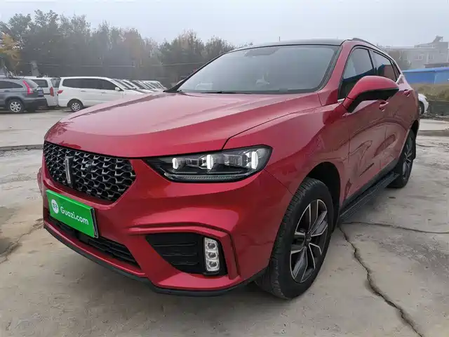 WEI PAI WEI BRAND VV5 2020