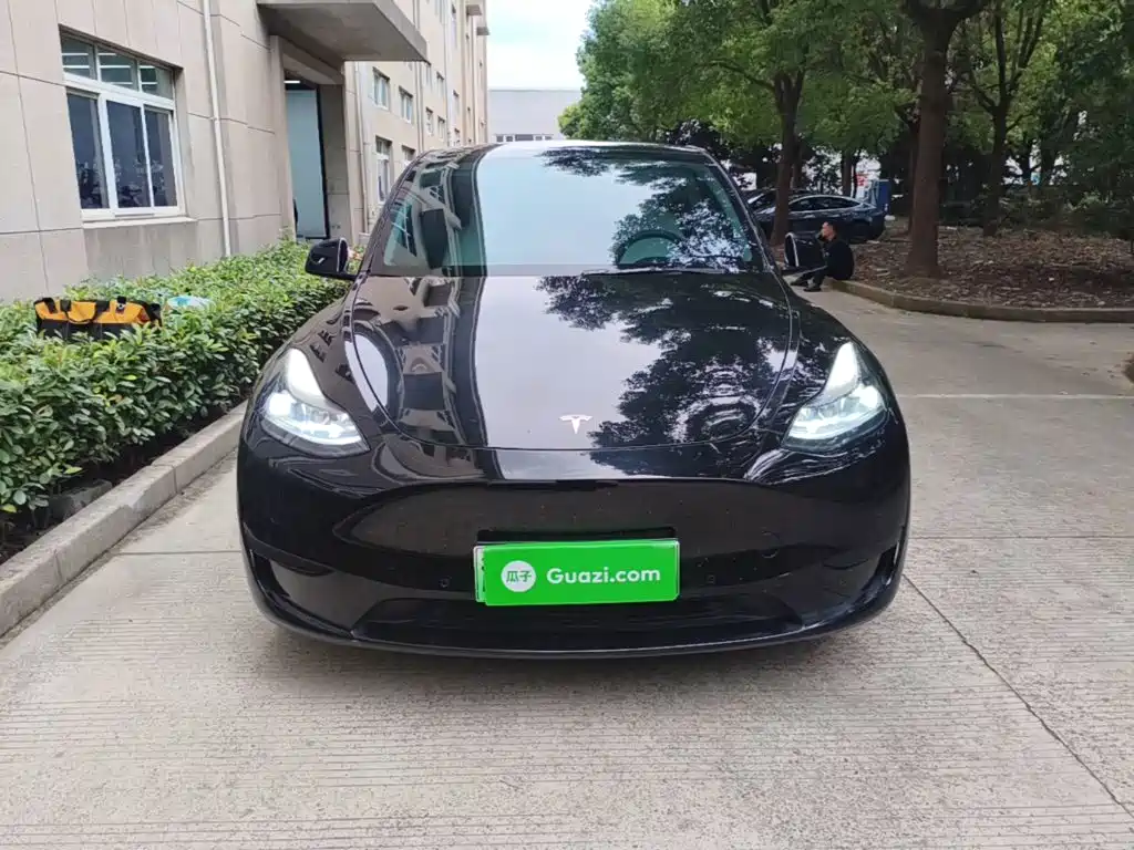 Tesla Model Y — миниатюра 3