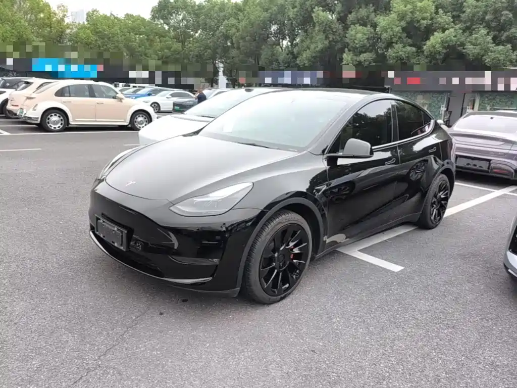 Tesla Model Y — миниатюра 2