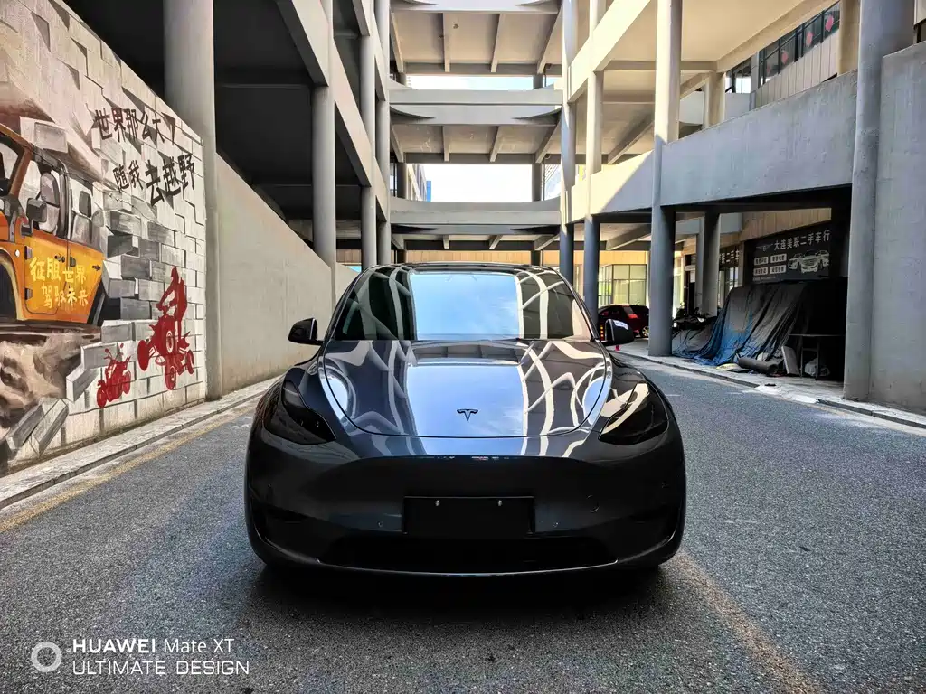 Tesla Model Y — миниатюра 2