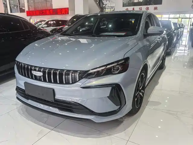 2024 Geely Binrui