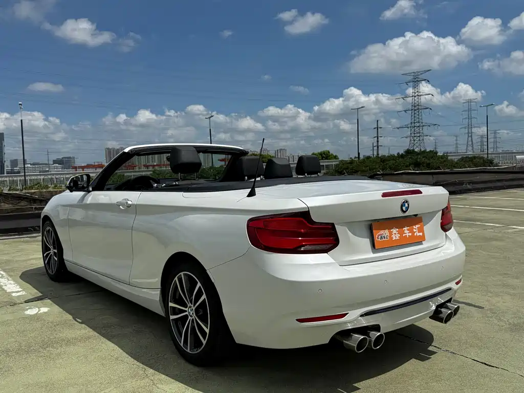 BMW 2 Series (Import) 220i Convertible Coupe Sport Design Package, фото 4