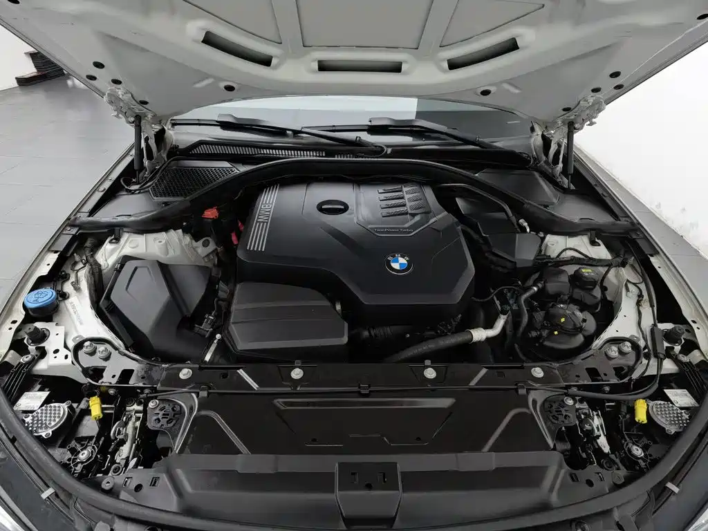 BMW 3 Series 3 2020 325Li M Sport