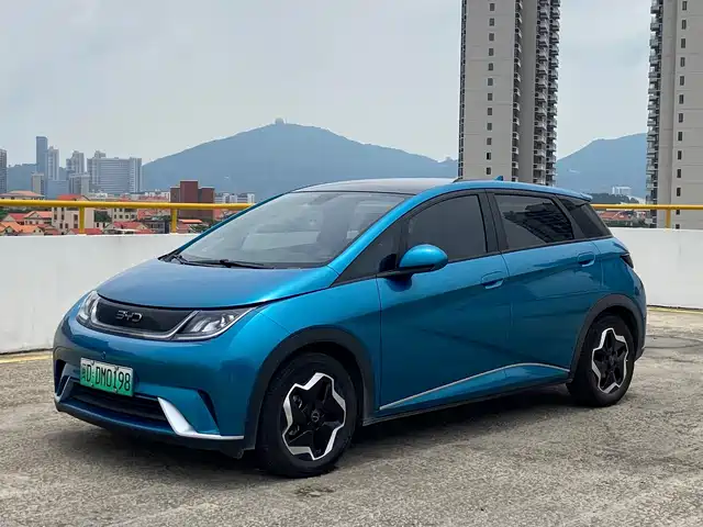 2022 BYD Dolphin