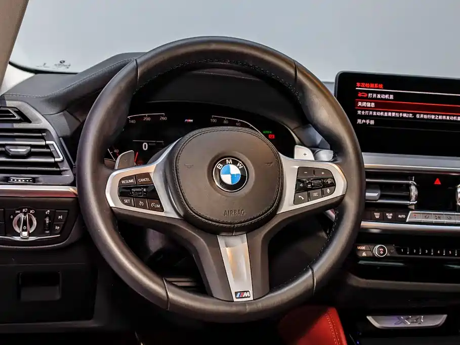 BMW X4 — миниатюра 22