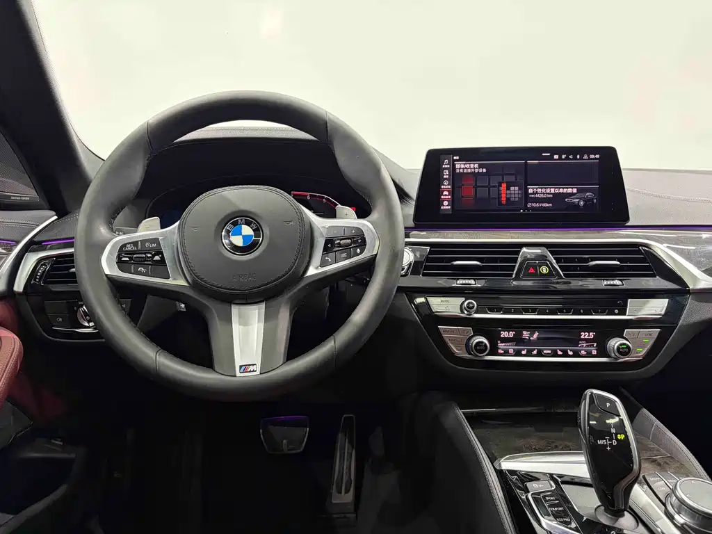 BMW 5 Series 5 2020 530Li Premium M Sport