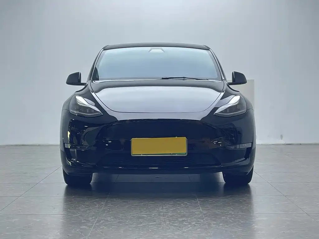 Tesla Model Y — миниатюра 2