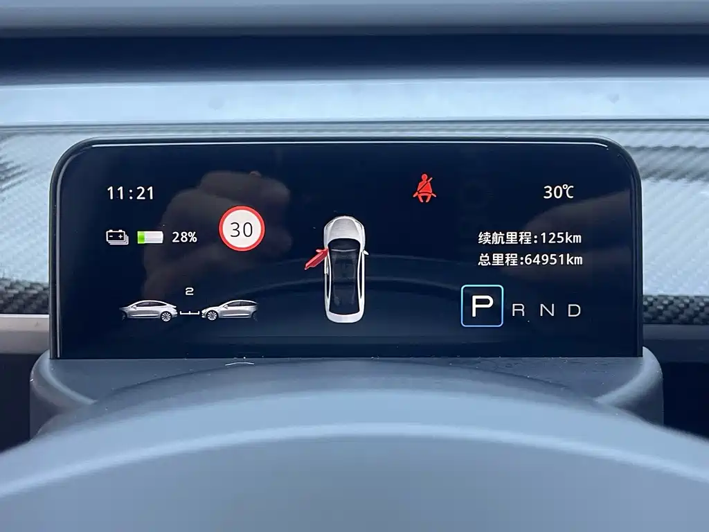 Tesla Model Y — миниатюра 14
