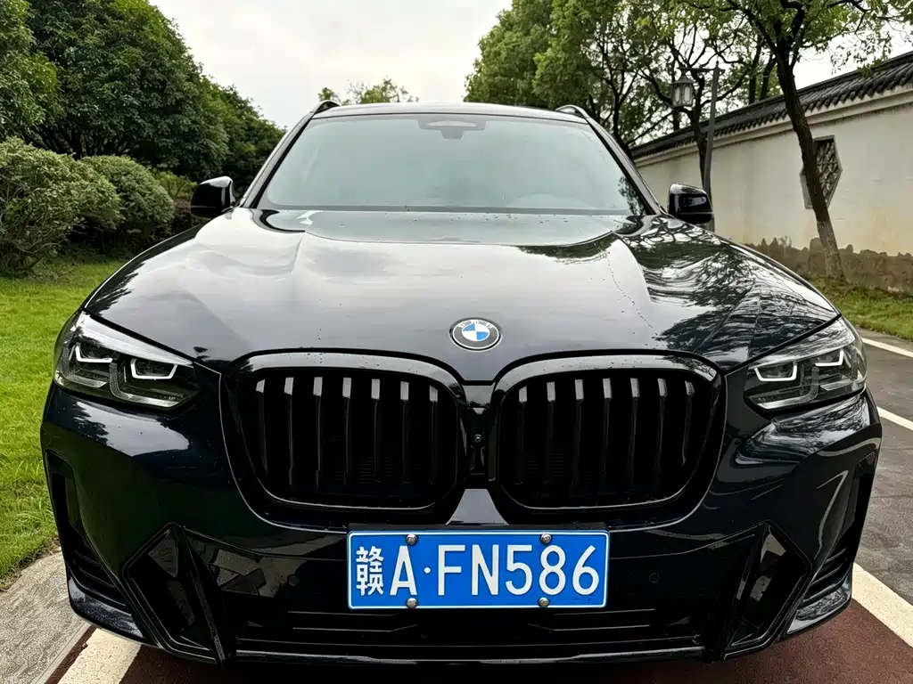 BMW X3 — миниатюра 2