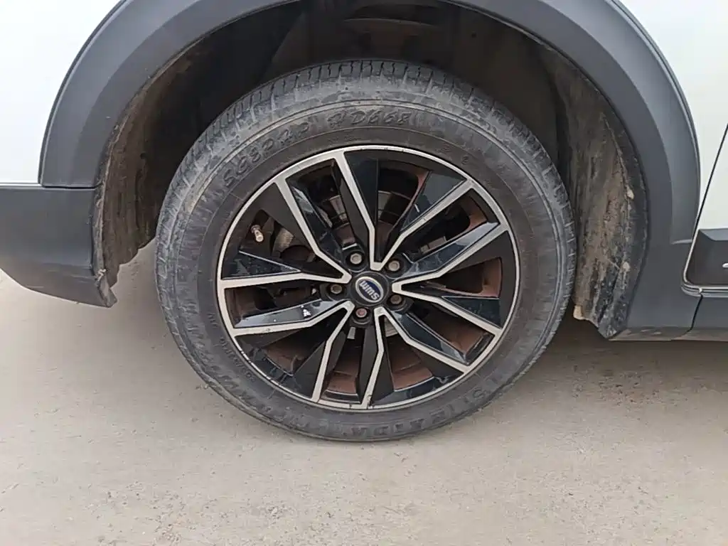 SWM SWM X3 — миниатюра 23