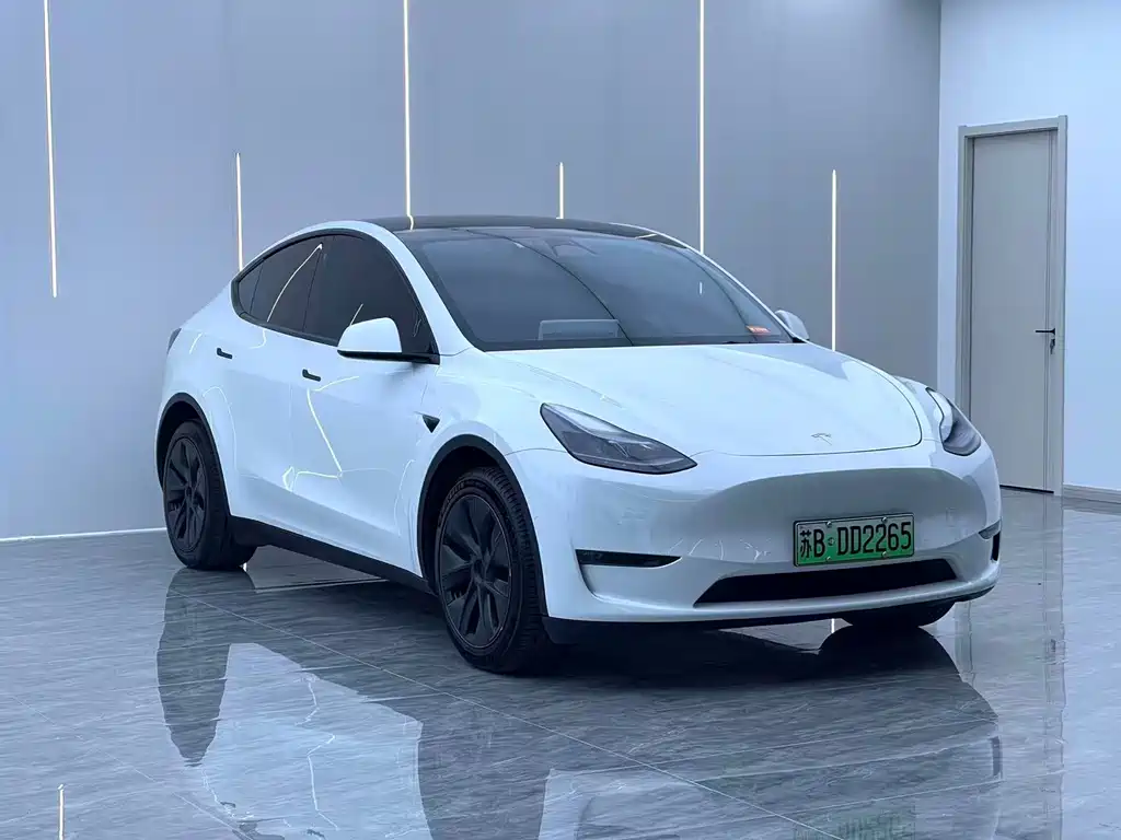 Tesla Model Y — миниатюра 3