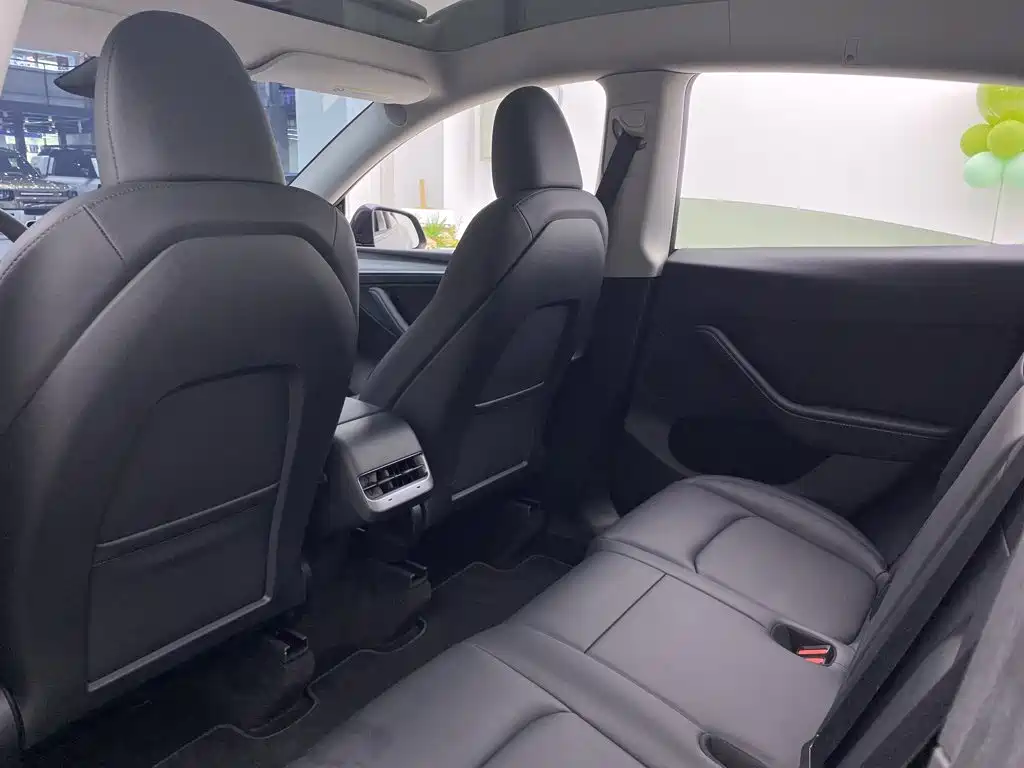 Tesla Model Y — миниатюра 26