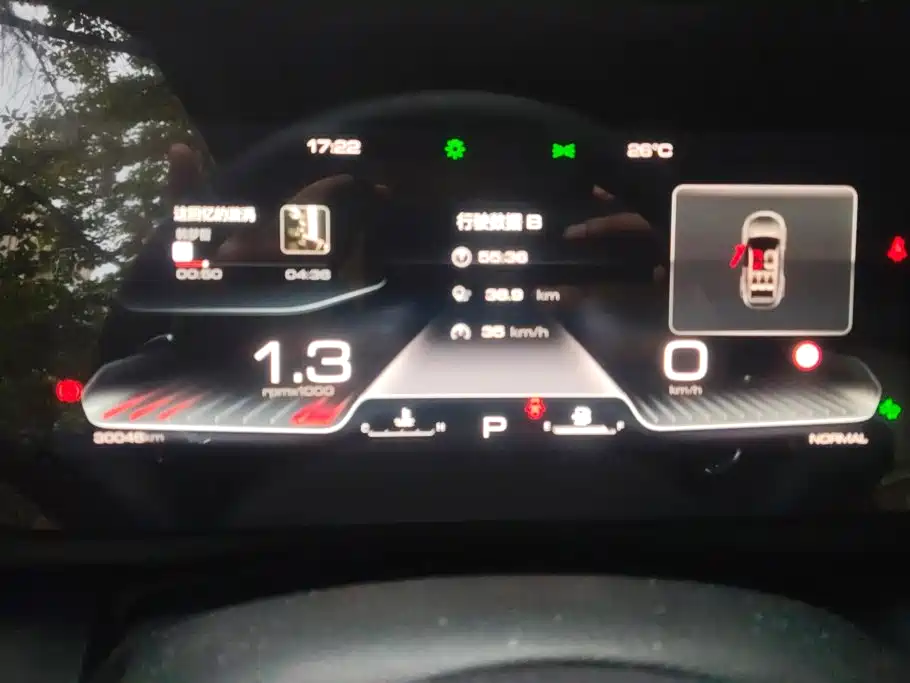 Haval Big Dog — миниатюра 14