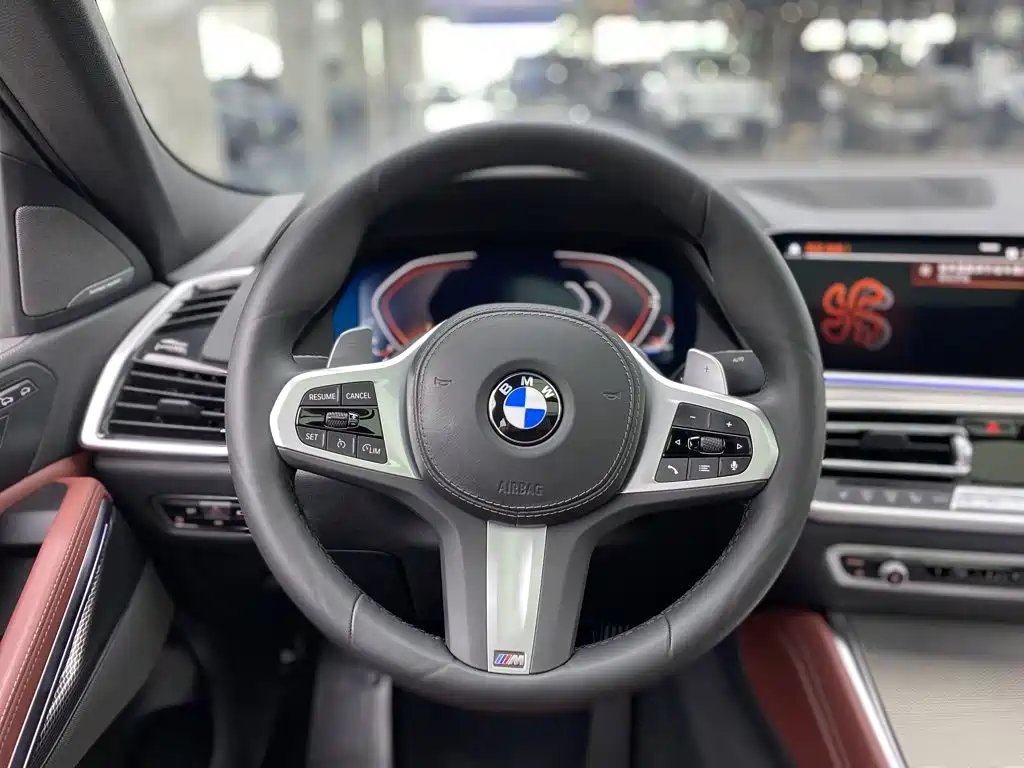 BMW X6 — миниатюра 16