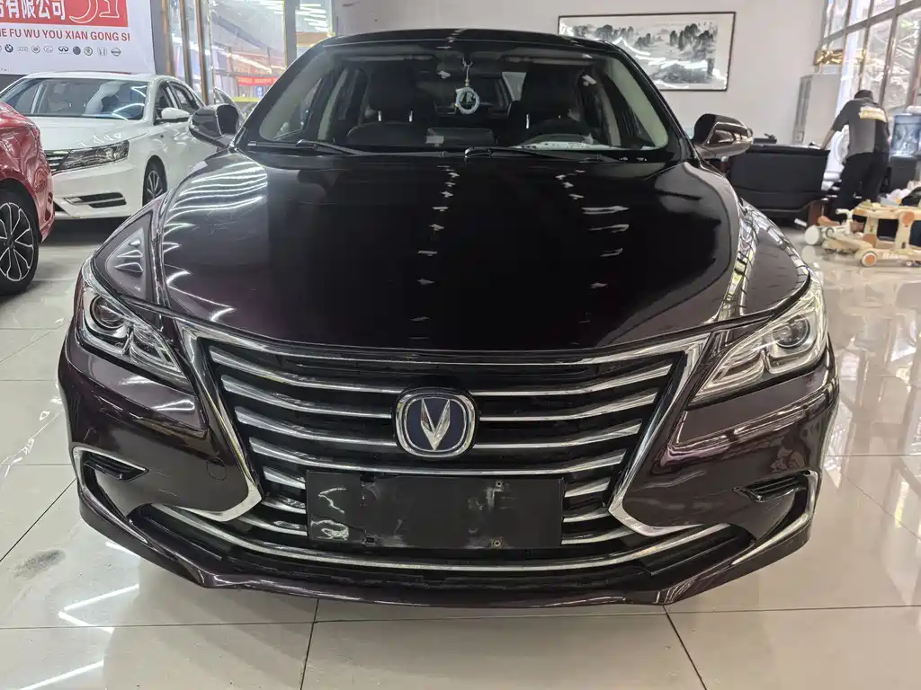 Changan Ruicheng CC — миниатюра 2