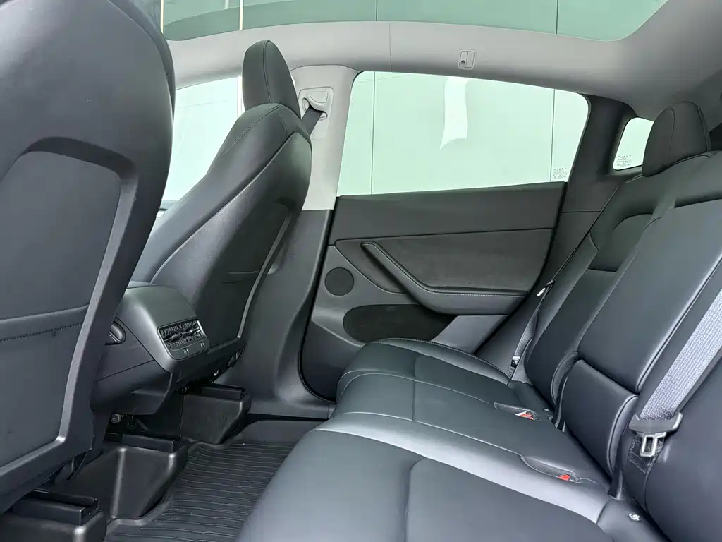Tesla Model Y — миниатюра 10