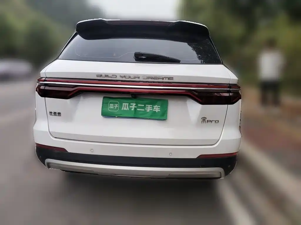 BYD Pro — миниатюра 3