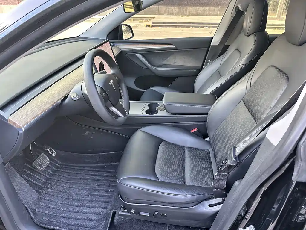 Tesla Model Y — миниатюра 4