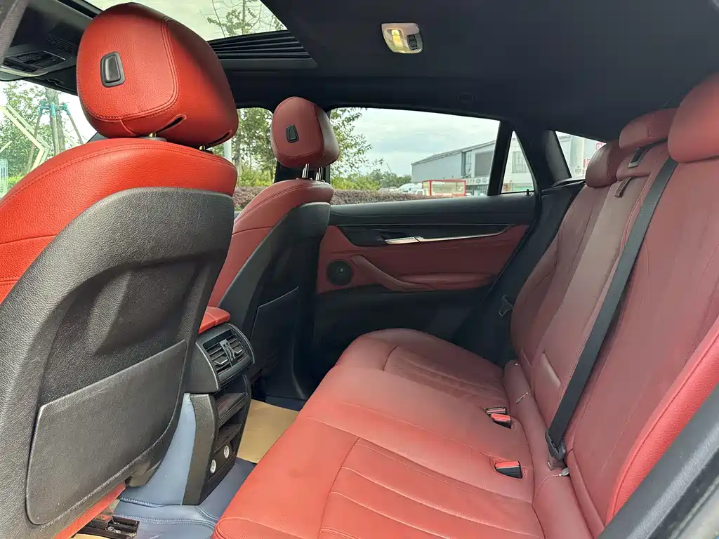 BMW X6 — миниатюра 7
