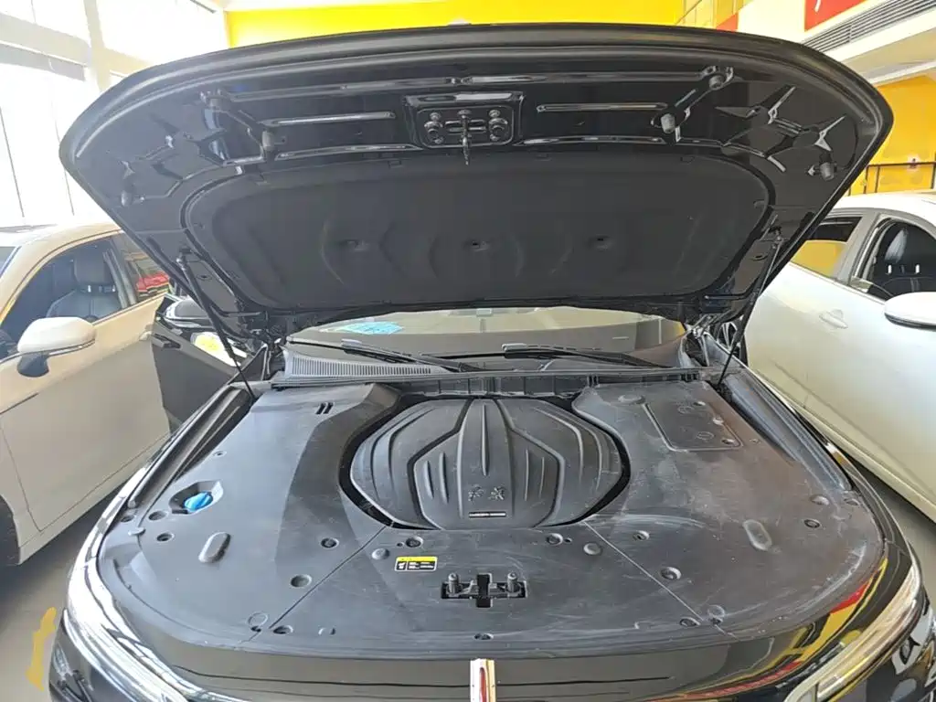 Hongqi Hongqi H9 — миниатюра 20