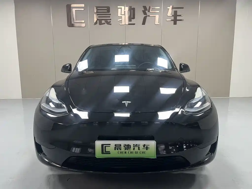 Tesla Model Y — миниатюра 2