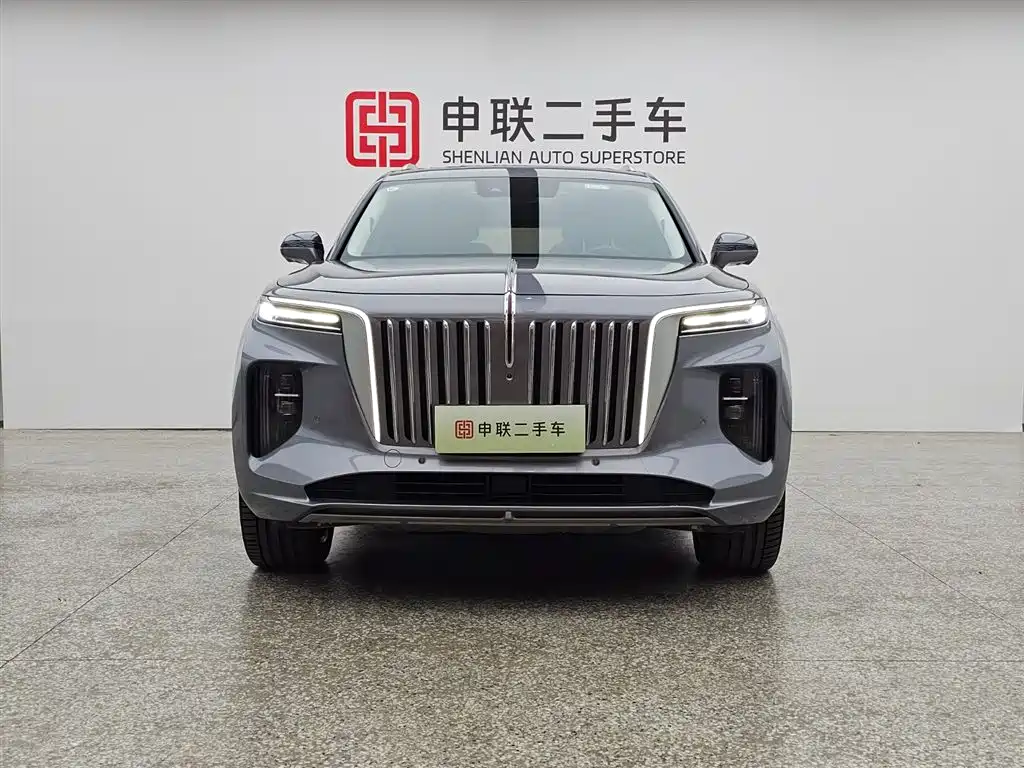 Hongqi E-HS9 2022 690km мест