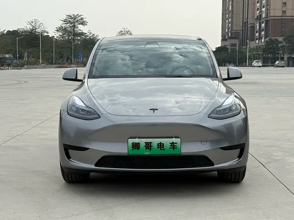Tesla Model Y — миниатюра 2