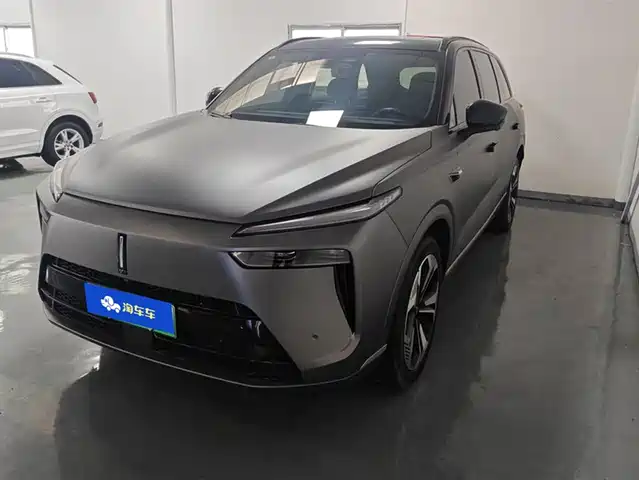 WEI PAI WEI BRAND BLUE MOUNTAIN 2023