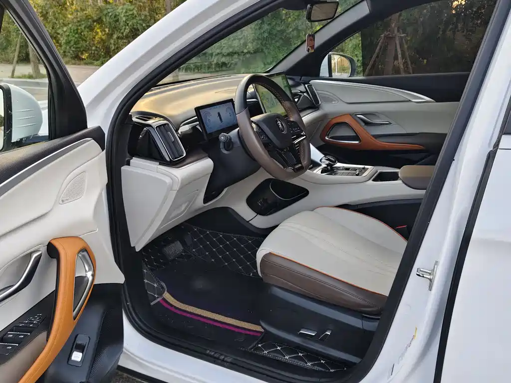 BYD Song Pro Pro 2022 DM-i 110km Flagship