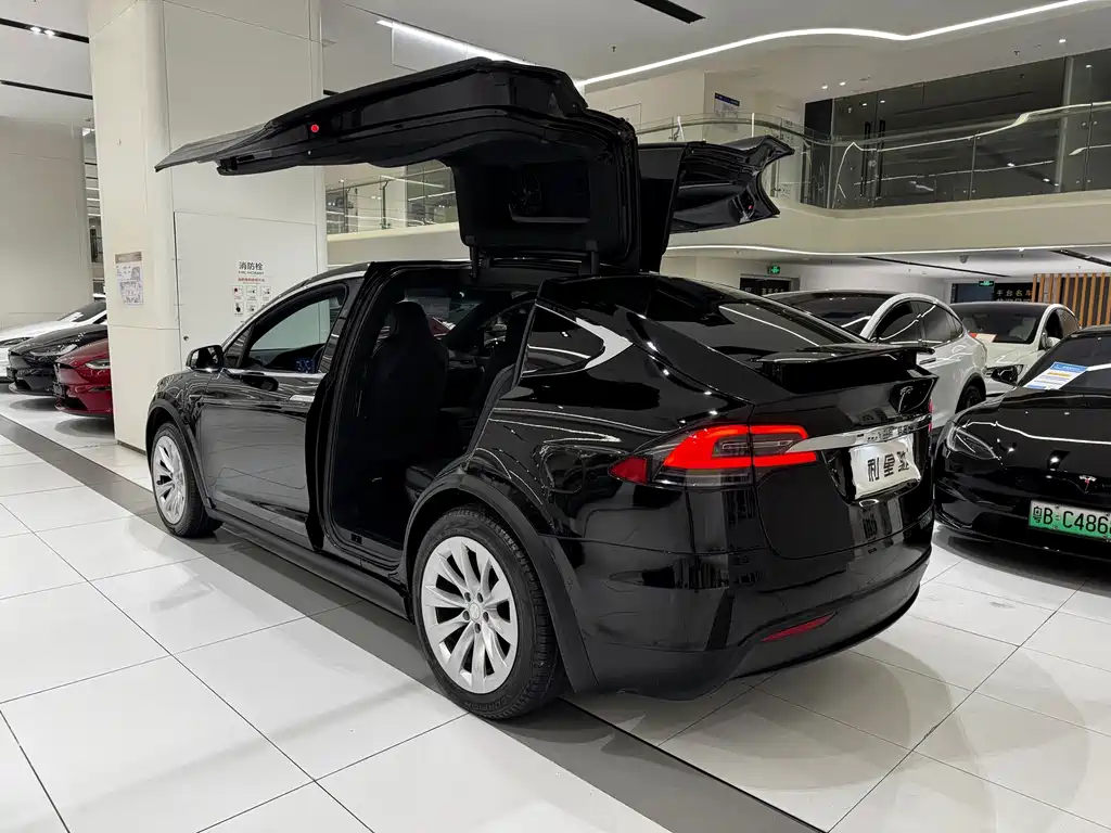 Tesla Model X — миниатюра 3